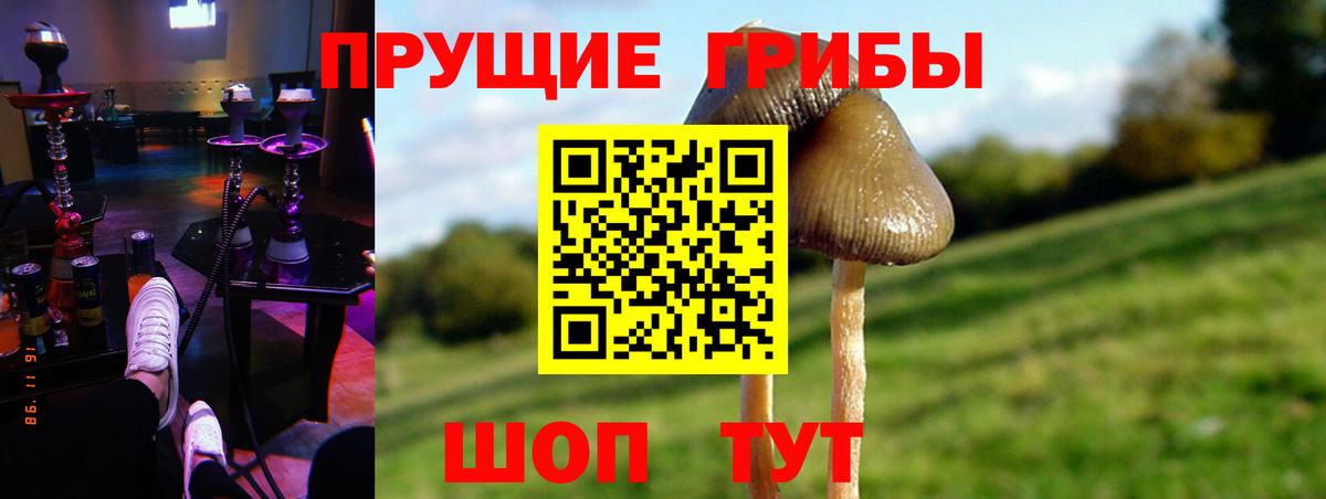 Галлюциногенные грибы MAGIC MUSHROOMS  Вход с VPN  Тимашёвск 